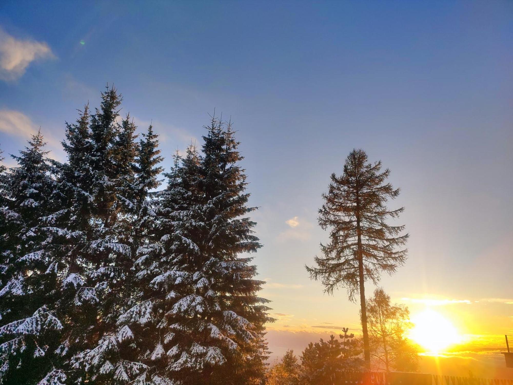 Nature Living Koralm - Neue Chalets Auf Der Koralpe Im Schi- Und Wanderparadies Sankt Stefan im Lavanttal Eksteriør bilde